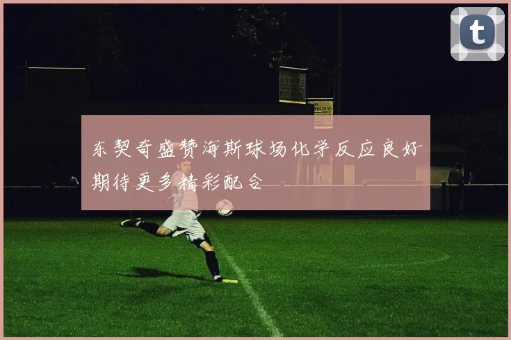 东契奇盛赞海斯球场化学反应良好期待更多精彩配合
